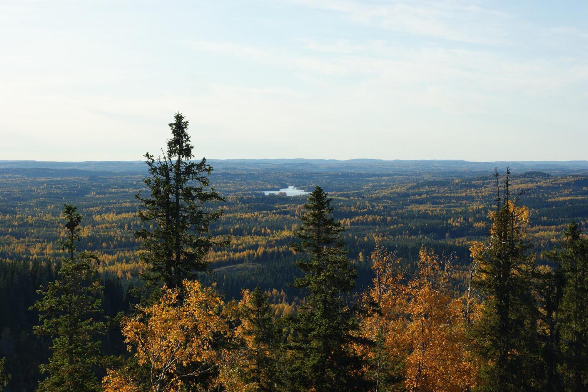 Paimentupa Vila Kolinkylä Exterior foto